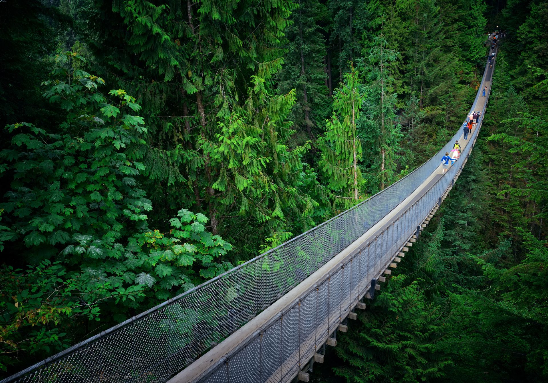 Capilano Suspension Bridge