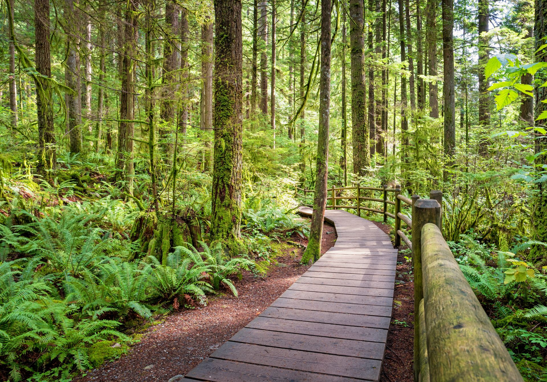 Lynn Canyon Park
